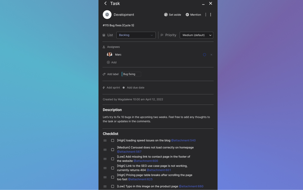 Bug fixing in the website project management process example. Task with bugs to fix and an assignee.
